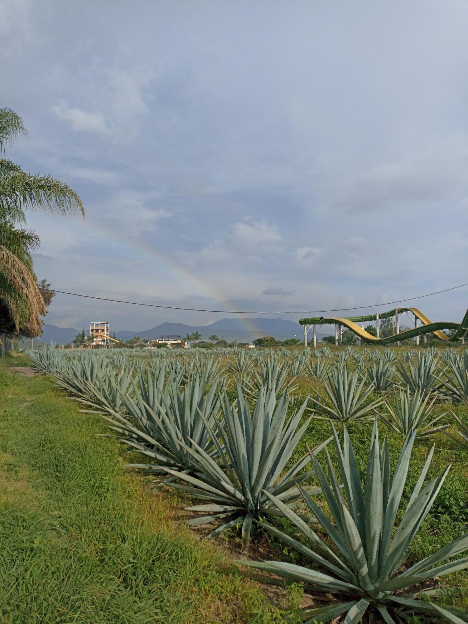 Don Pedrillo Hotel Oaxaca Bagian luar foto